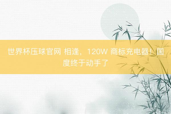 世界杯压球官网 相逢，120W 商标充电器！国度终于动手了