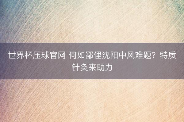 世界杯压球官网 何如鄙俚沈阳中风难题？特质针灸来助力