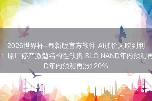 2026世界杯-最新版官方软件 AI加价风吹到利基型存储：原厂停产激勉结构性缺货 SLC NAND年内预测再涨120%