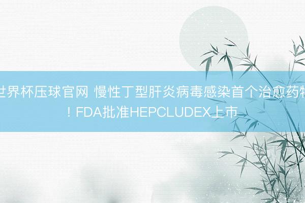 世界杯压球官网 慢性丁型肝炎病毒感染首个治愈药物! FDA批准HEPCLUDEX上市