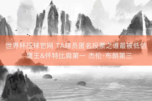 世界杯压球官网 TA球员匿名投票之谁最被低估:鹰王&怀特比肩第一 杰伦·布朗第三