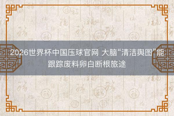 2026世界杯中国压球官网 大脑“清洁舆图”能跟踪废料卵白断根旅途