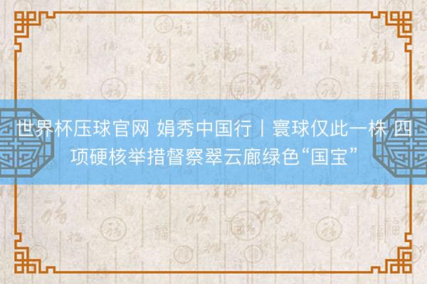世界杯压球官网 娟秀中国行丨寰球仅此一株 四项硬核举措督察翠云廊绿色“国宝”